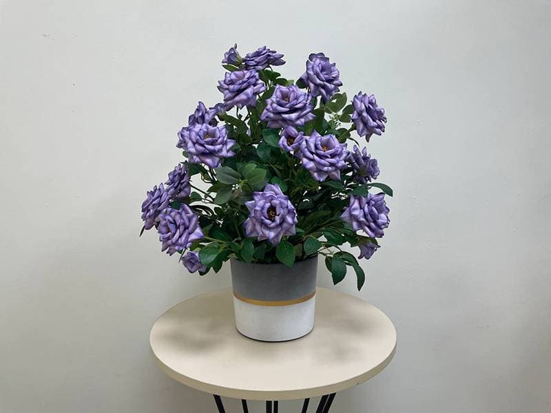 source